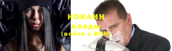 прущий лед Алзамай