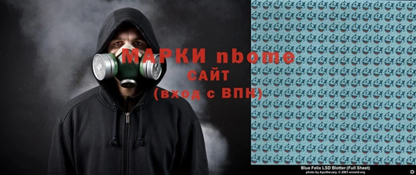 прущий лед Алзамай