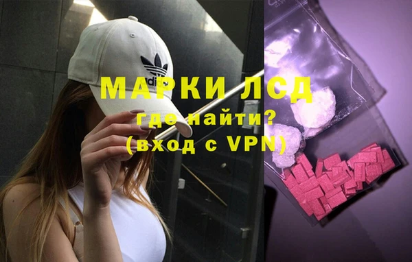 прущий лед Алзамай