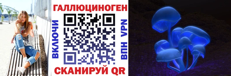 Галлюциногенные грибы Psilocybe  Волжский 